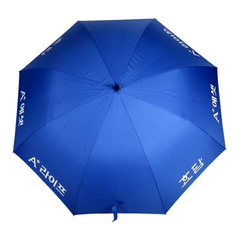 A+ 에셋 장우산
