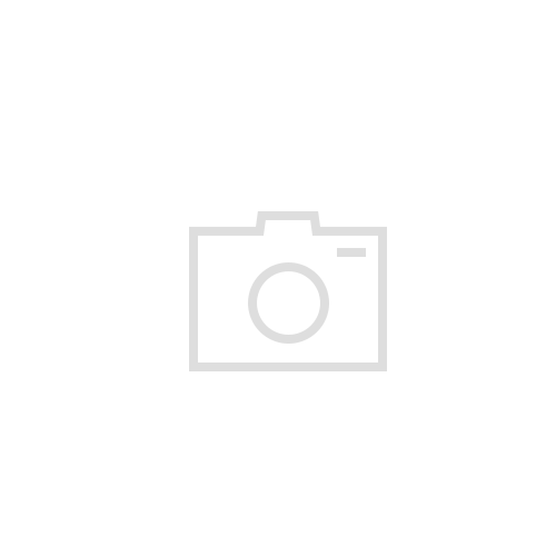 [7+1] 스칸디아모스 DIY이끼 500g 묶음상품공기정화식물 스칸디아모스 천연이끼 원예수업 이끼작품 만들기