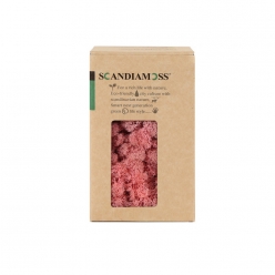 [스칸디아모스 150g-62_핑크] 공기정화식물 스칸디아모스 천연이끼 만들기 이끼 레인디어모스 순록이끼