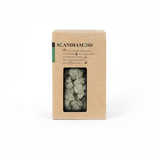 [스칸디아모스 150g-75_실버그레이] 공기정화식물 스칸디아모스 천연이끼 만들기 이끼 레인디어모스 순록이끼